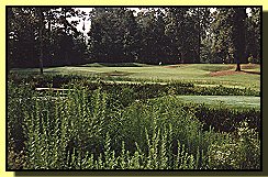 Low Country Golf in South Carolina